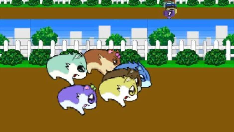 Hamster Monogatari 64 screenshot 2