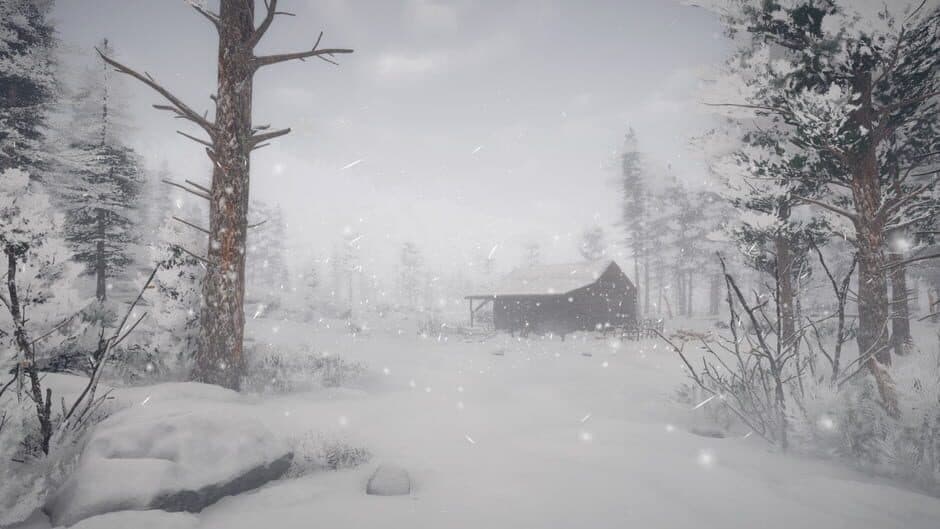 Northern Lights screenshot 1