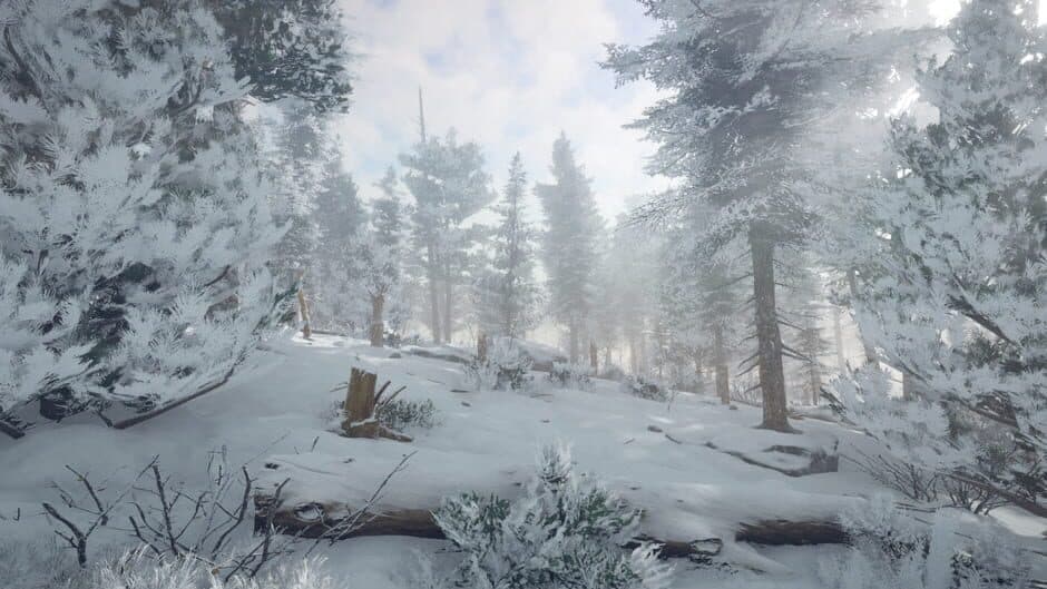 Northern Lights screenshot 4