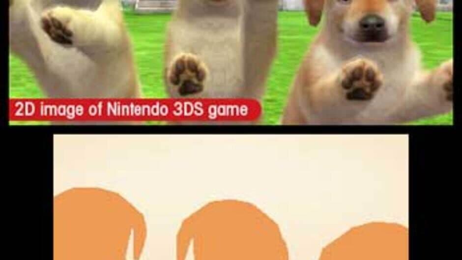 Nintendogs + Cats: Toy Poodle & New Friends screenshot 1