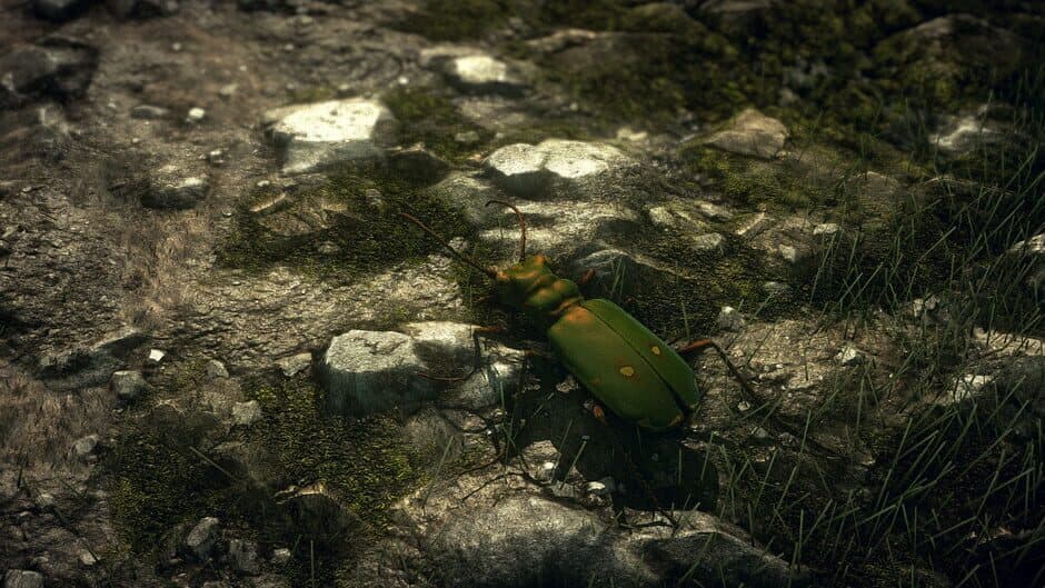 Insect Worlds screenshot 3