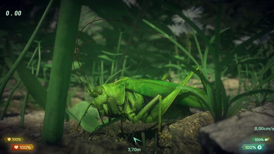 Insect Worlds screenshot 4