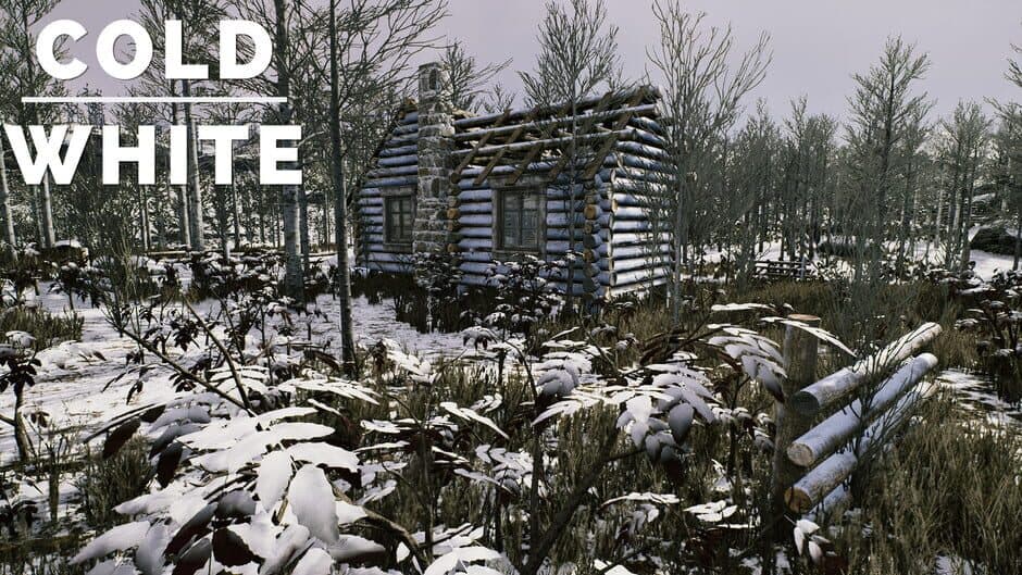 The Cold White screenshot 2