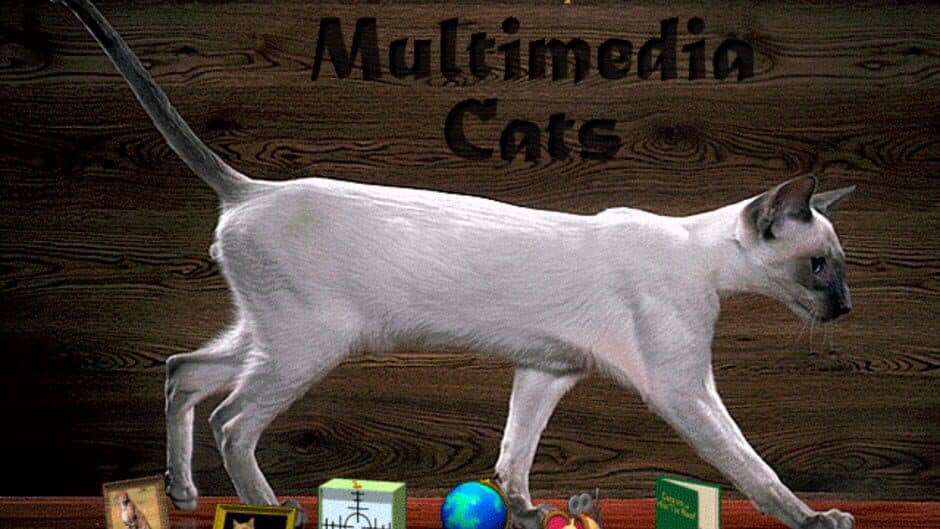 Multimedia Cats screenshot 1