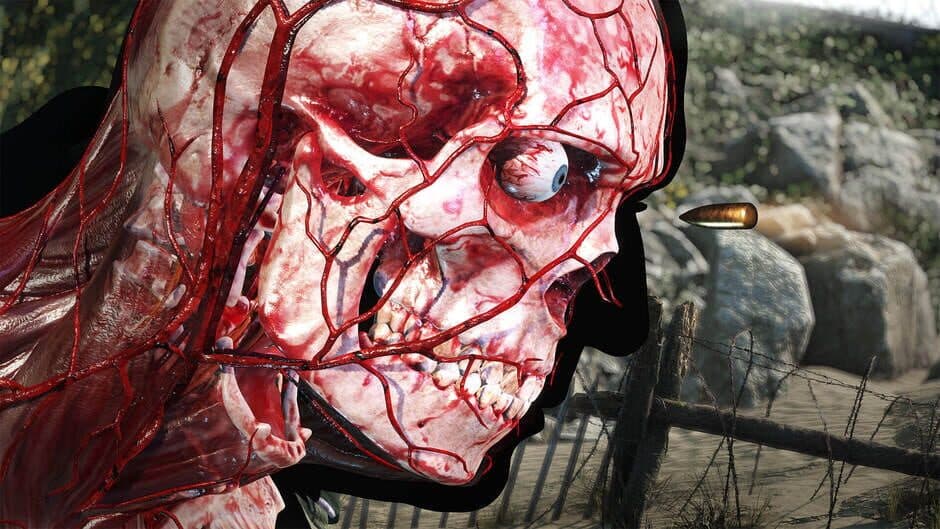 Sniper Elite 5: Deluxe Edition screenshot 4