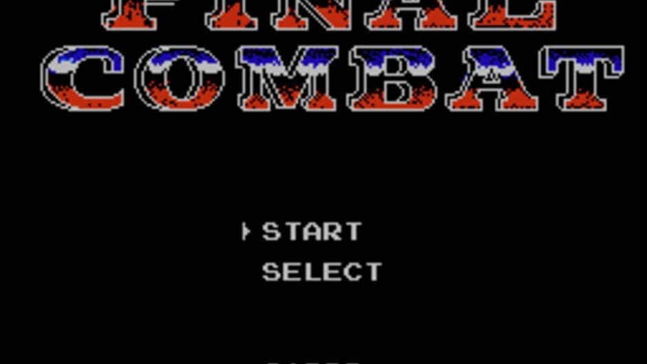 Final Combat screenshot 1