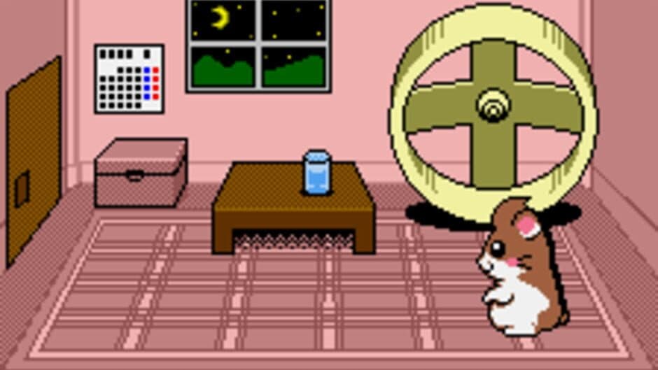 Dokodemo Hamster 3: O Dekake Safuran screenshot 2