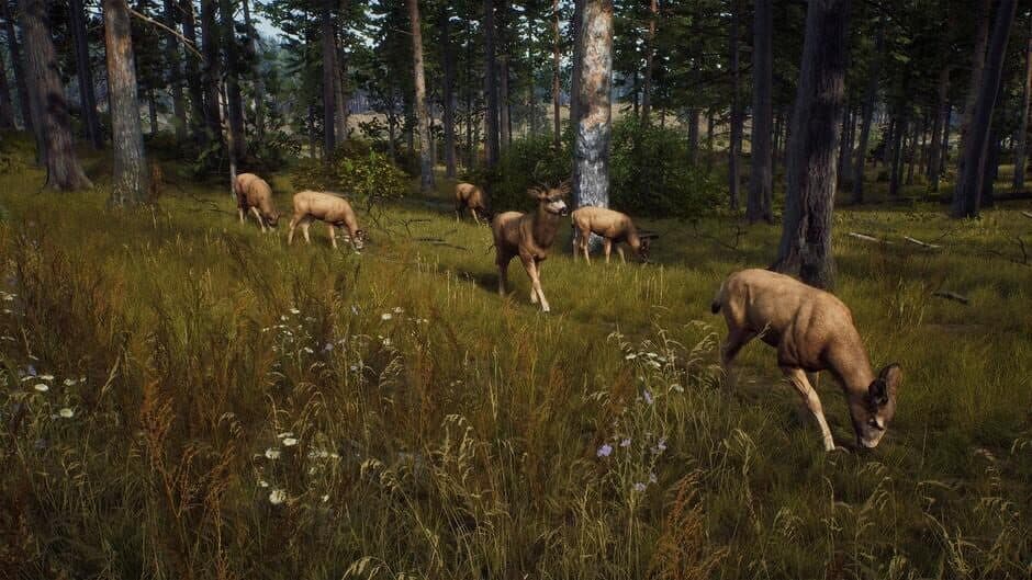 Way of the Hunter screenshot 4