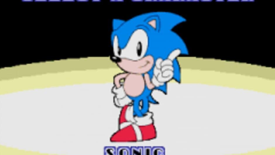 Sonic the Hedgehog: Character Pak screenshot 2