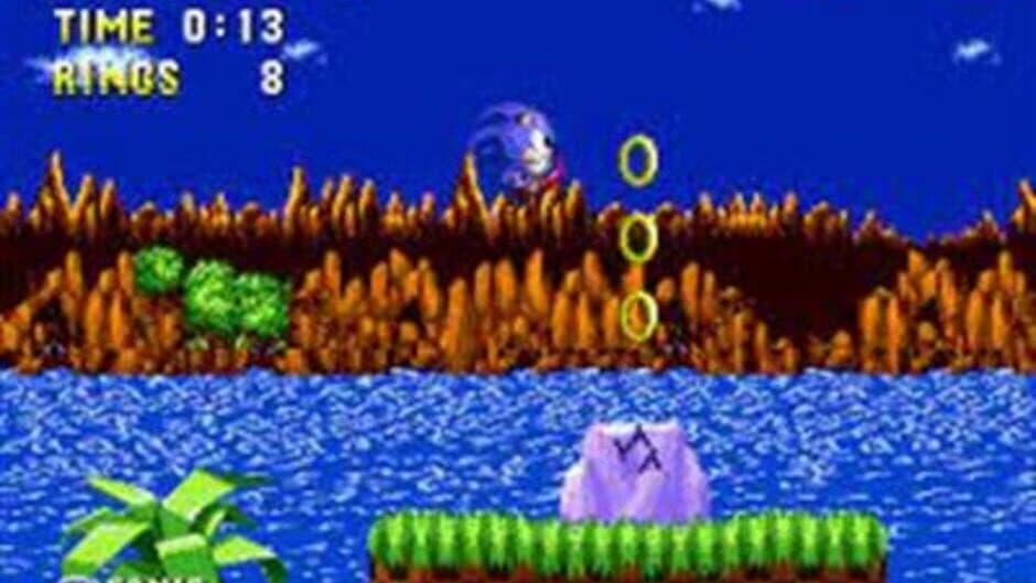 Sonic 1: South Island Expedition screenshot 1