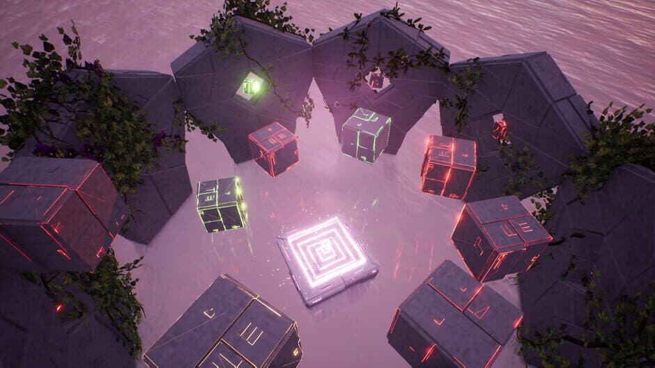 Reflection screenshot 2