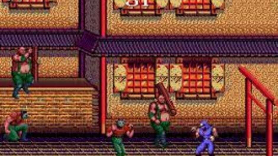 Ninja Gaiden screenshot 2