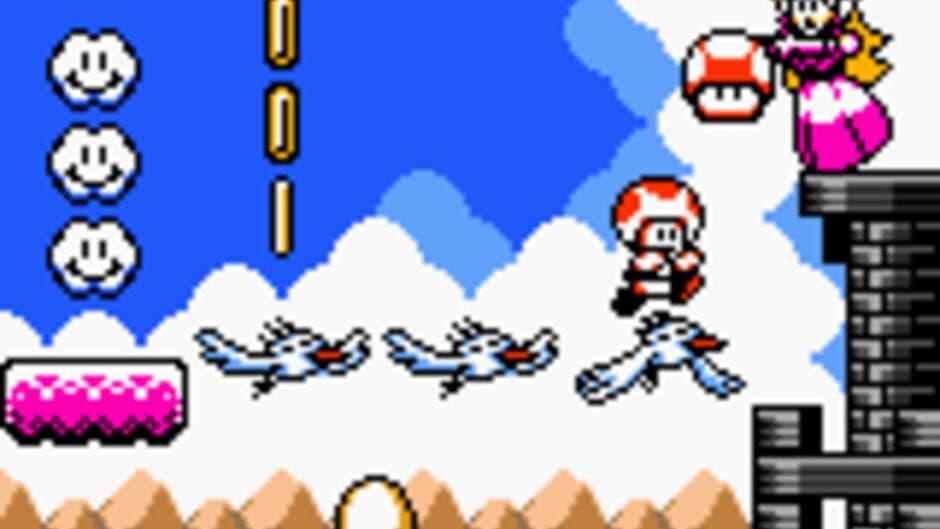 Turtle Bridge screenshot 3