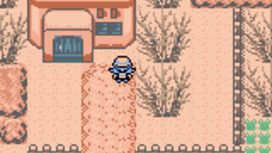 Pokémon Black & White 3: Genesis screenshot 1