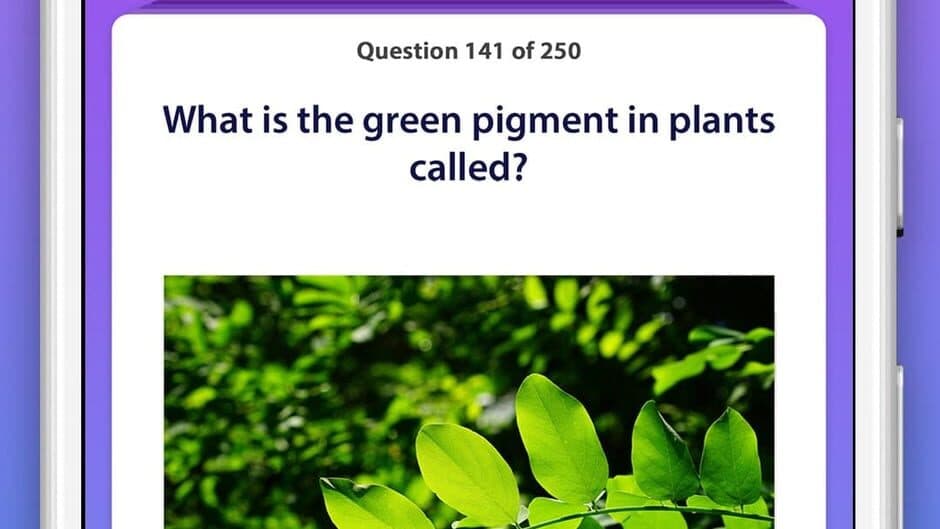 General Knowledge Quiz screenshot 2