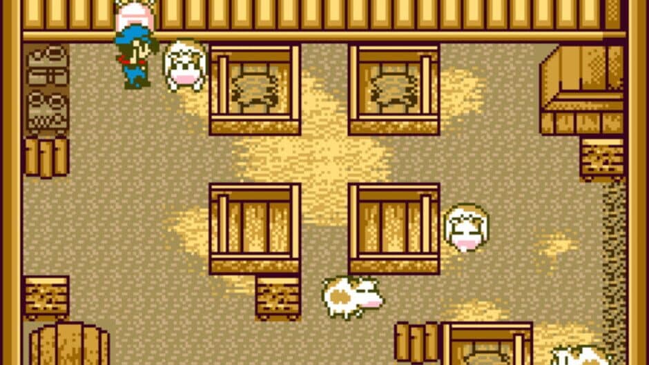 Harvest Moon GBC screenshot 4
