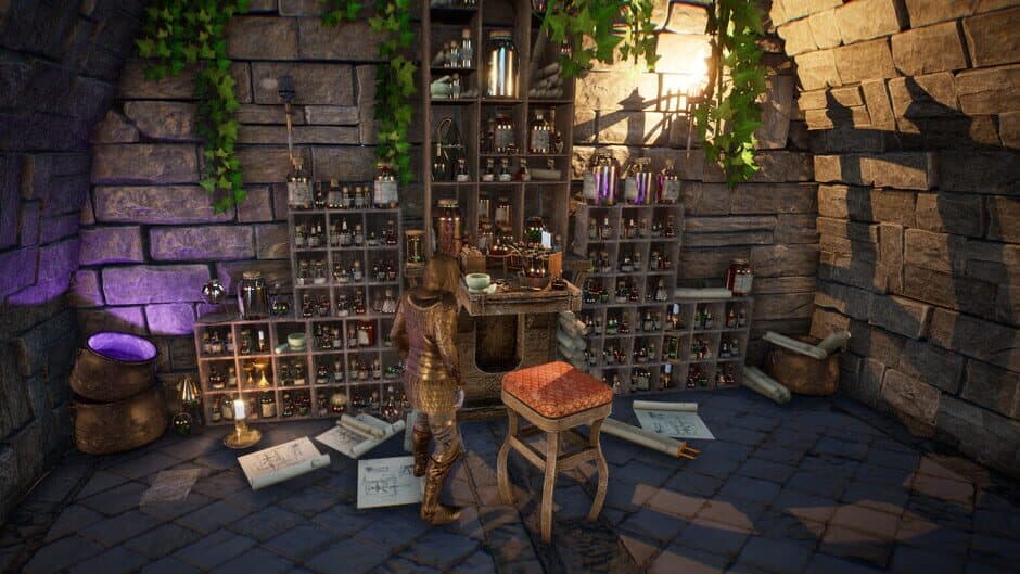 Medieval Life screenshot 1