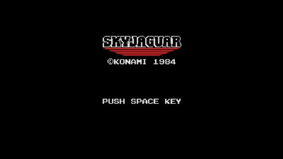 Sky Jaguar screenshot 1