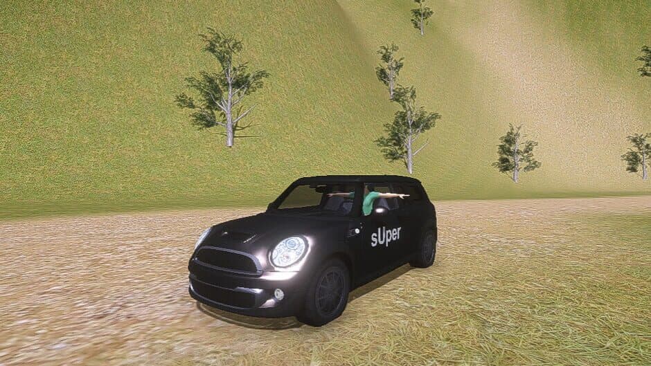 Super: Taxi Simulation screenshot 4