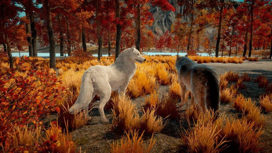Wolf Survival screenshot 4