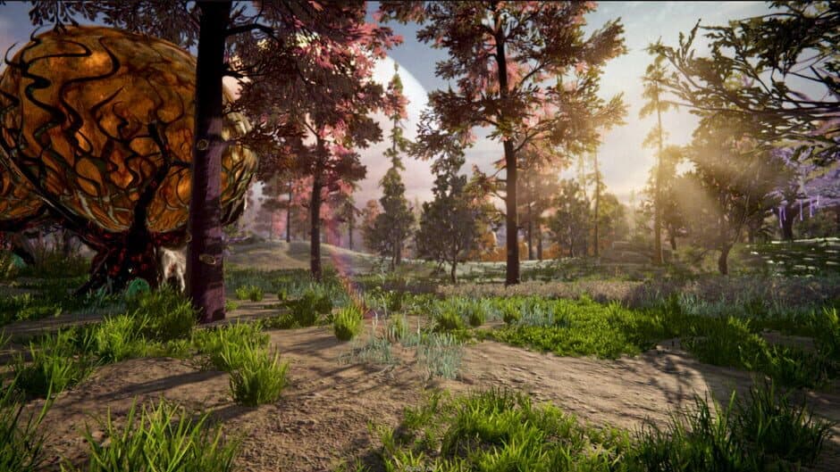 Novark screenshot 2