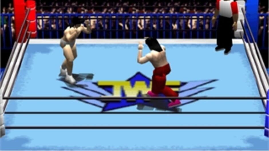 Pro Wrestling Sengokuden: Hyper Tag Match screenshot 1