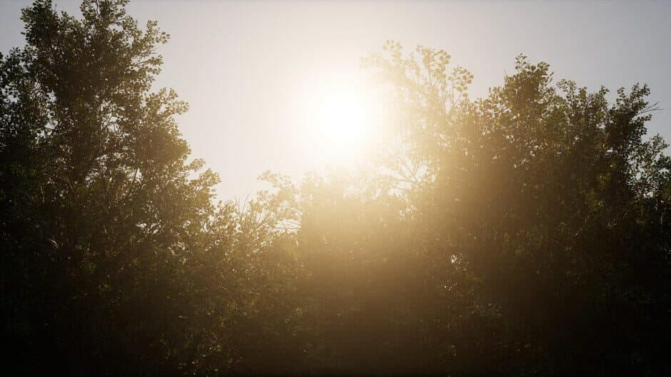 Echoes From The Past screenshot 2