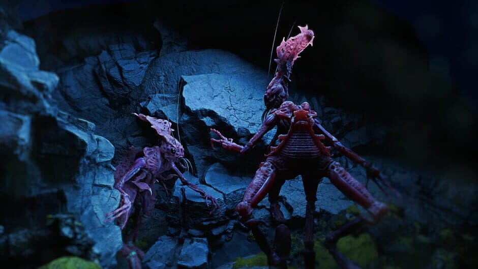 Sifera screenshot 2