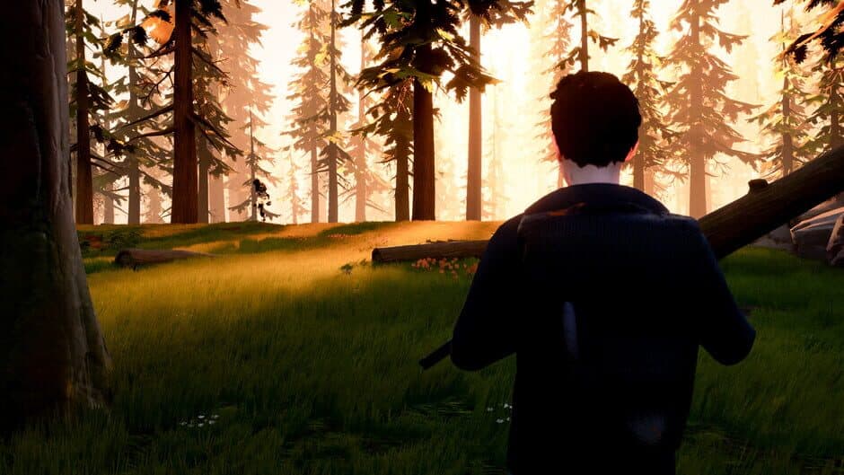 Figments screenshot 4