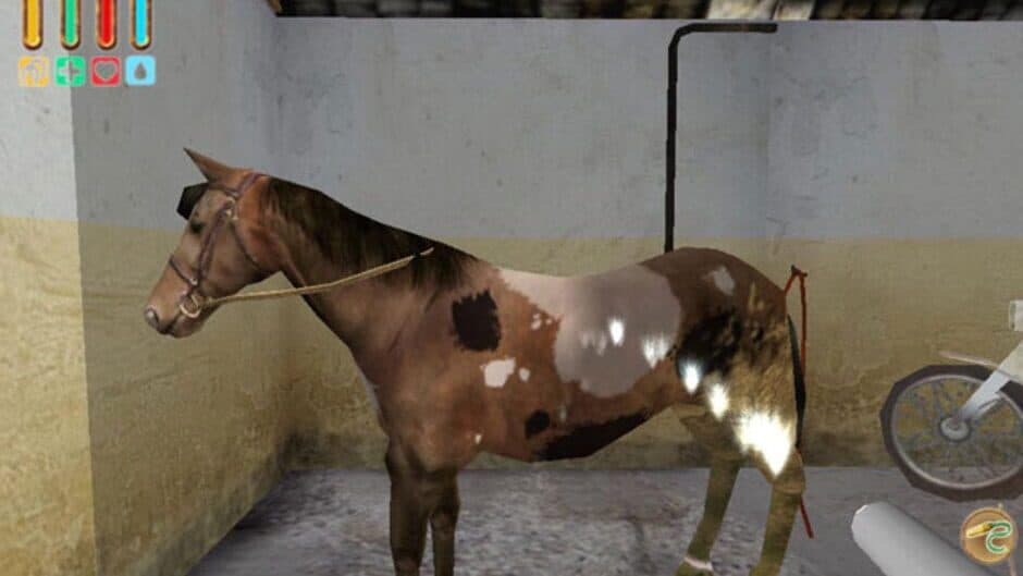 Alexandra Ledermann 4: Adventures at stud screenshot 4