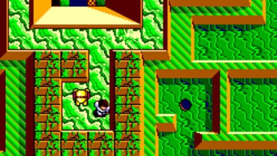 Maze Hunter 3-D screenshot 1