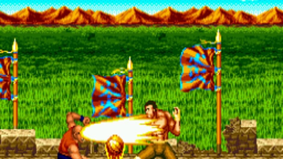 Top Fighter 2000 MK VIII screenshot 3