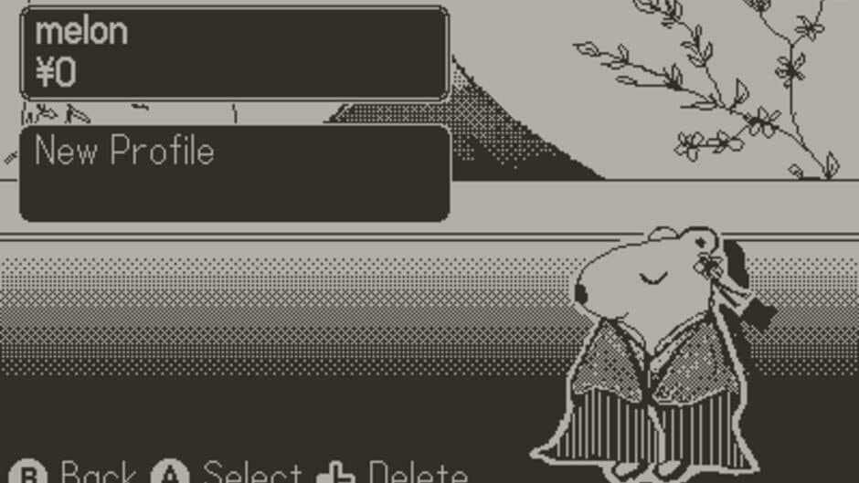 Capy Spa screenshot 4