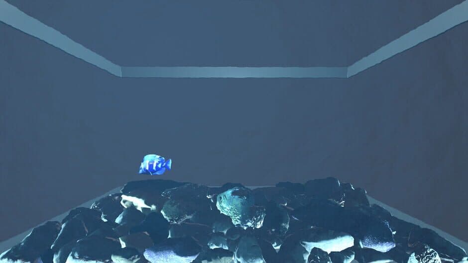 Aquario screenshot 2