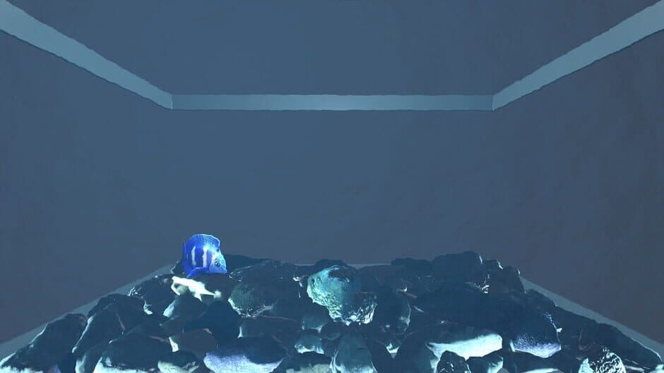 Aquario screenshot 1