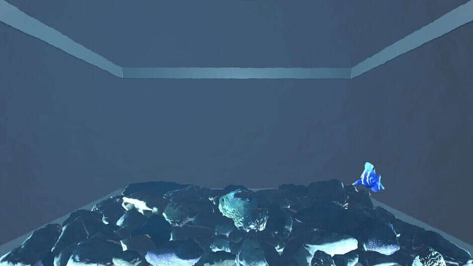 Aquario screenshot 3