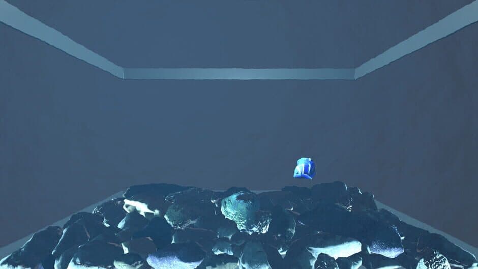 Aquario screenshot 4