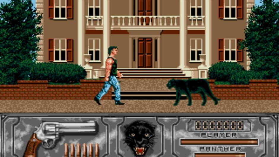 Wild Streets screenshot 1