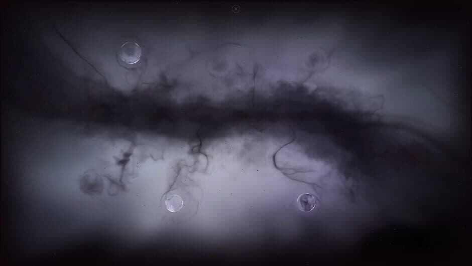 Cyrano Story screenshot 2