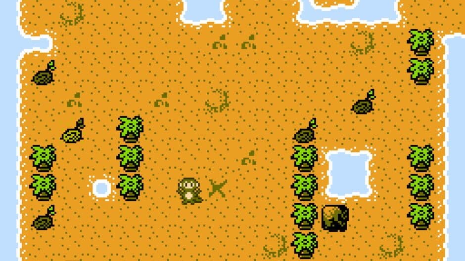 Bustina and the Search for Booty screenshot 3