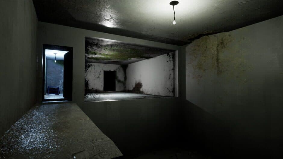 Schizophrenia screenshot 1