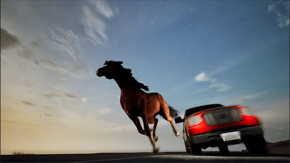 Horse Evolutions screenshot 1