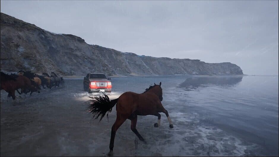 Horse Evolutions screenshot 2