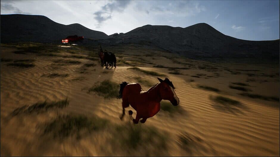Horse Evolutions screenshot 3