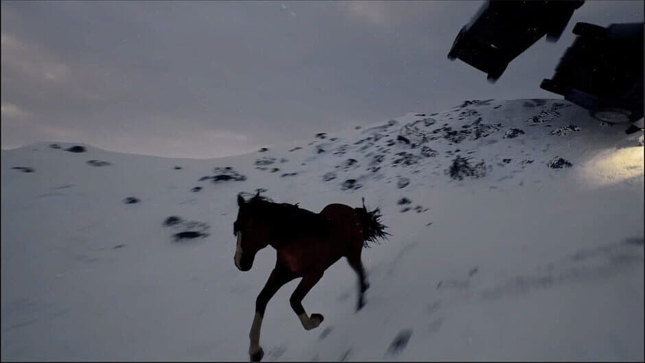 Horse Evolutions screenshot 4