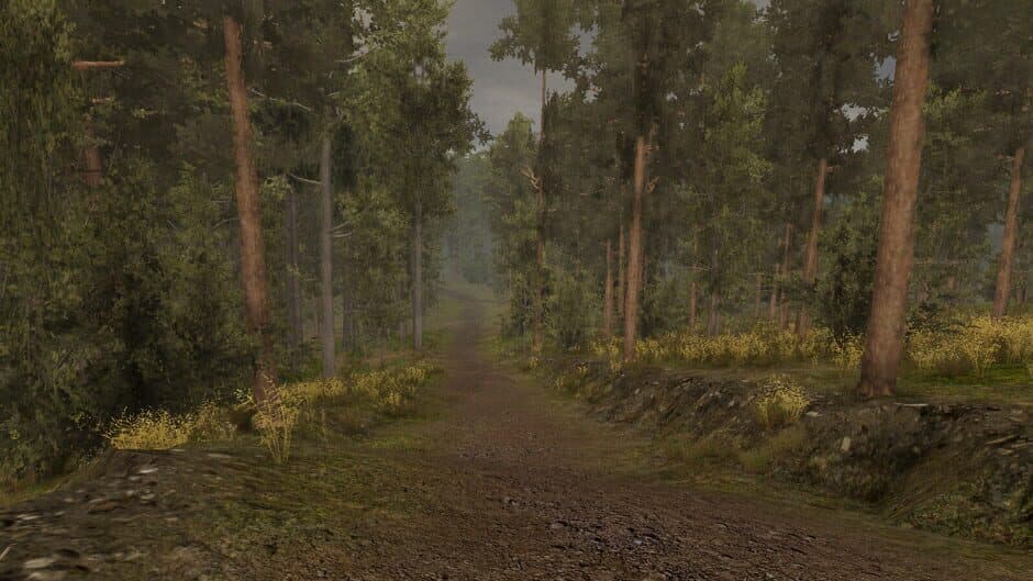 Sosnova screenshot 3