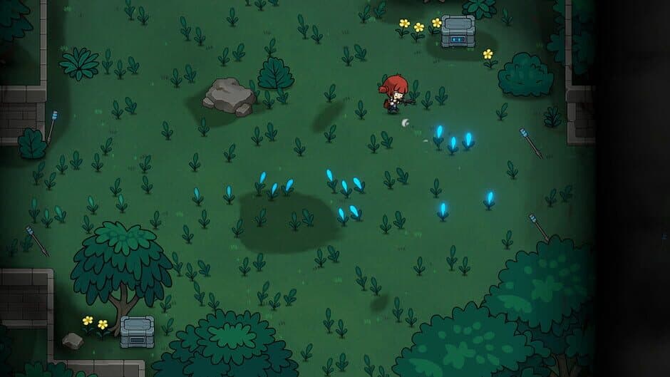 Seed 2313 screenshot 1