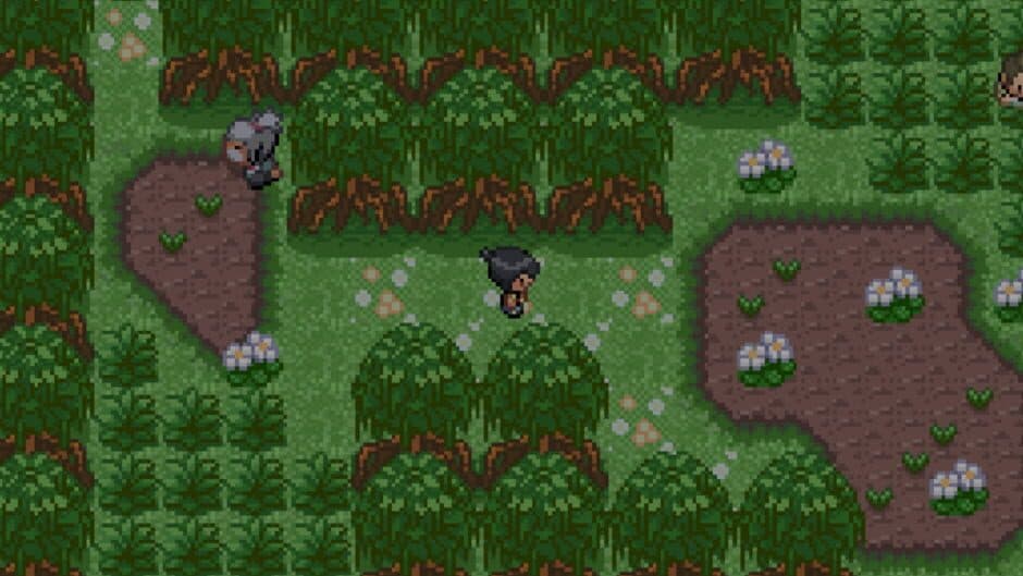 Pokémon Potassium screenshot 4