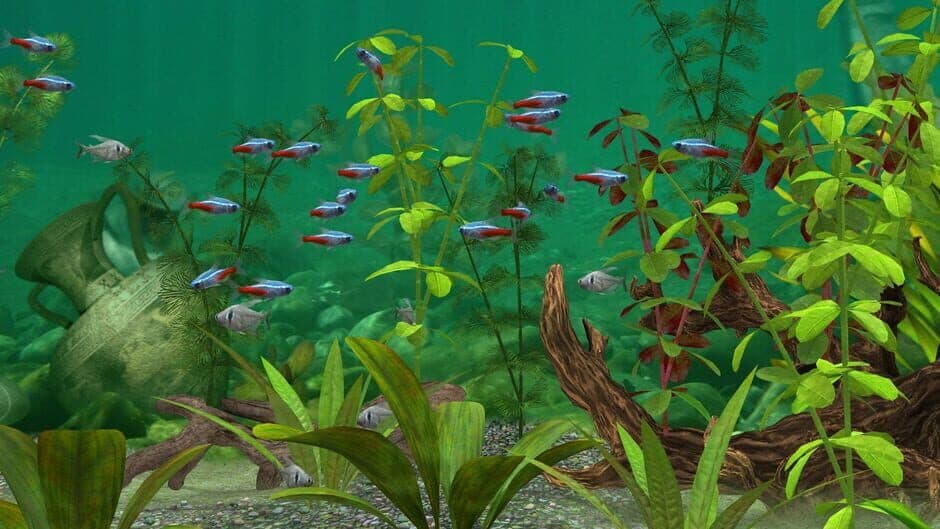 Fish Farm 3 screenshot 2
