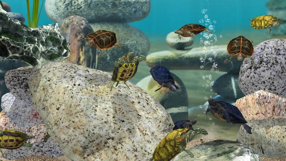 Fish Farm 3 screenshot 3